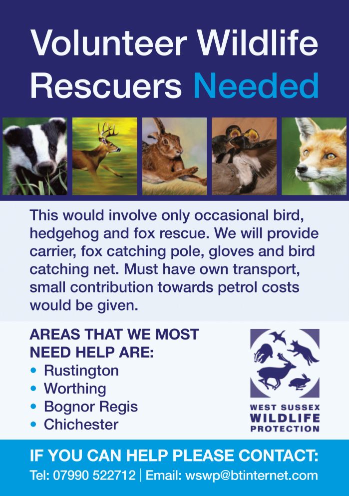 Wildlife Rescuers Needed