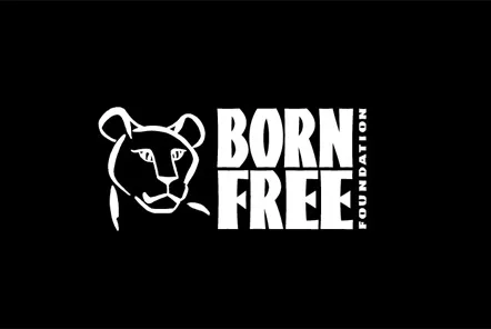 Born Free Funds Rescue Equipment 16 Born Free Foundation