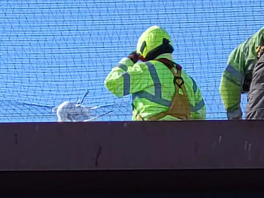 Gulls and Birds Trapped in Netting: A Growing Wildlife Crisis 1 Netting is a deadly problem for Herring Gulls and other birds